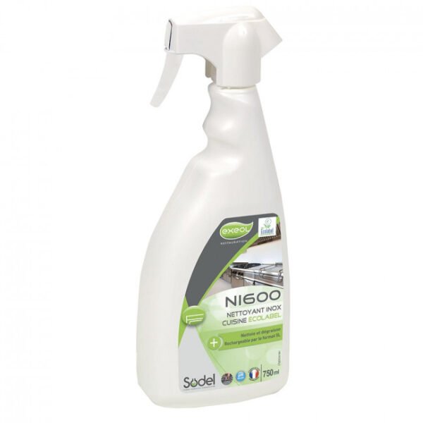 Spray nettoyant inox